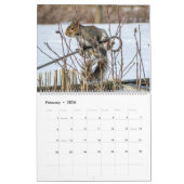 ハロウェル湖のリス暦 カレンダー (2月 2026)