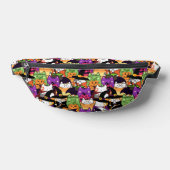 ハロウカラフルンの衣装を着た猫 ファニーパック (レイダウン)