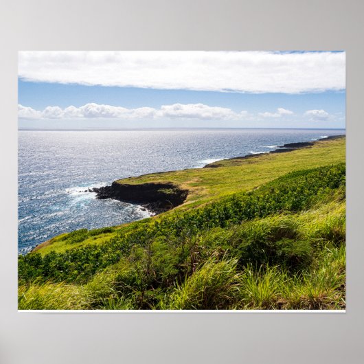 ハロケーンルックアウトと太平洋海 ポスター (正面)