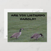 ハロルド聞か？葉書 ポストカード (正面/裏面)