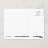 ハロルド聞か？葉書 ポストカード (裏面)