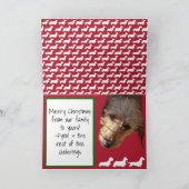 ハロルド·エンジェルズがクリスマスカードを歌うのをほえる カード (内部)