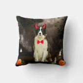 ハロワ縁どンの衣装を着たコリー犬 クッション (裏面)