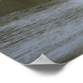 ハロンの広がる翼の写真ポスター ポスター (角)