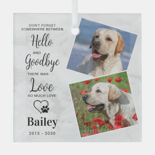 ハローお気に入りのカスタム2フォトドッグペット記念館 ガラスオーナメント (正面)