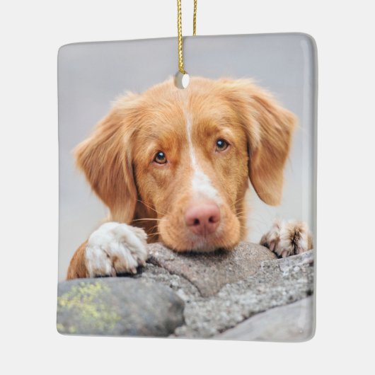 ハローお気に入りのストリーさよならペットモダンメモリアル セラミックオーナメント (左)