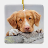 ハローお気に入りのストリーさよならペットモダンメモリアル セラミックオーナメント (正面)