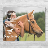 ハローお気に入りのストリーさよならペット馬記念 フリースブランケット