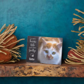 ハローお気に入りのハードバイカスタムアウェイペット フォトプラーク (側面)