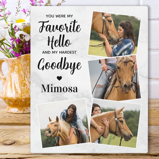 ハローお気に入りのハードバイカスタムアウェイペット フォトプラーク