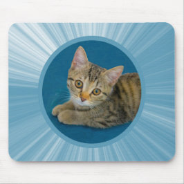 ハローかわいこちゃん – かわいい子猫 マウスパッド