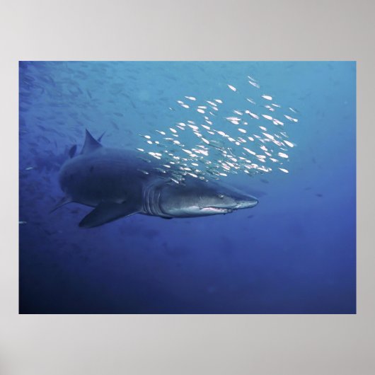 ハローの悪魔 ポスター (正面)