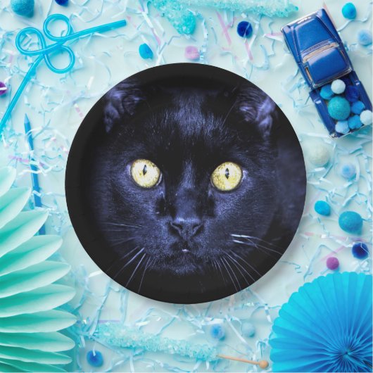 ハローウィンパーティ怖い黒猫ホラーナイト ペーパープレート (パーティー)