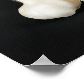 ハローウィーゲン魔女の手の明るいバージョン ポスター (角)