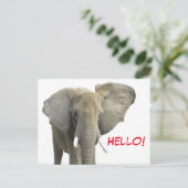 ハローエレファントサファリ動物 ポストカード (スタンド正面)