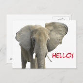 ハローエレファントサファリ動物 ポストカード (正面/裏面)