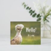 ハローカスタムメッセージポーランドチキン ポストカード (スタンド正面)