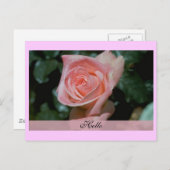 ハローカード ポストカード (正面/裏面)