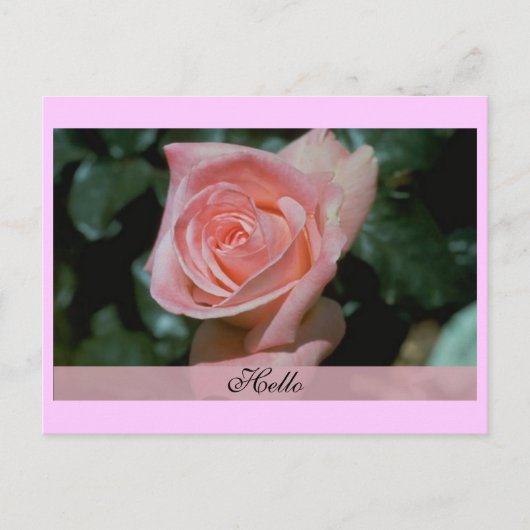 ハローカード ポストカード (正面)