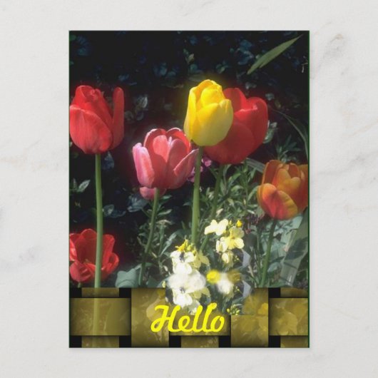 ハローカード ポストカード (正面)