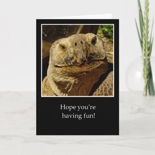 ハローキャンパースマイルカメ カード (正面)