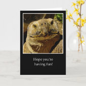 ハローキャンパースマイルカメ カード (黄色い花)