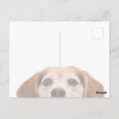 ハローキュートおもしろいビーグル犬の鼻 ポストカード (裏面)