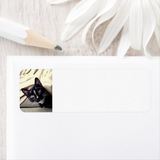 ハローキュート ラベル (インサイチュ)