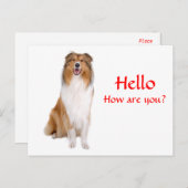 ハローコリーパピードッググリーティングポストカード ポストカード (正面/裏面)