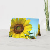 ハローサニー カード (裏面)