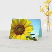 ハローサニー カード (黄色い花)