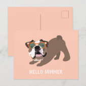 ハローサマーイングリッシュブルドッグオレンジ ポストカード (正面/裏面)