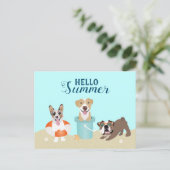 ハローサマービーチドッグ ポストカード (スタンド正面)