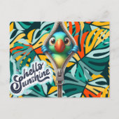 ハローサンシャインを覗く ポストカード (正面)