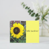 ハローサンシャインサンフラワーポストカード ポストカード (スタンド正面)