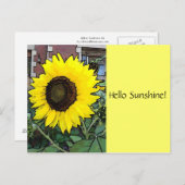 ハローサンシャインサンフラワーポストカード ポストカード (正面/裏面)
