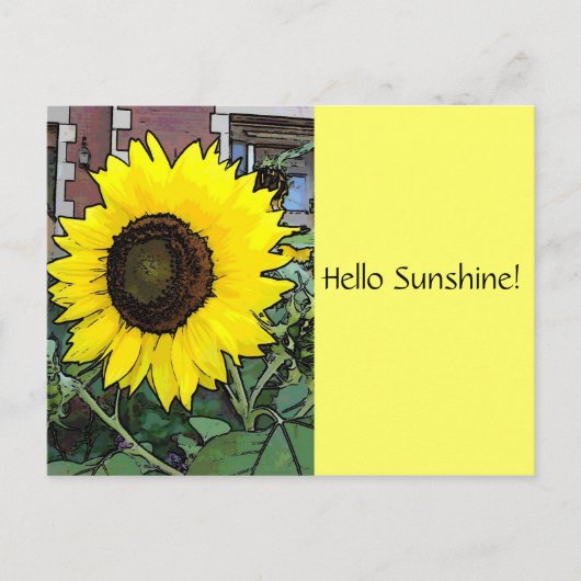 ハローサンシャインサンフラワーポストカード ポストカード (正面)