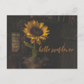 ハローサンフラワーヴィンテージ ポストカード (正面)