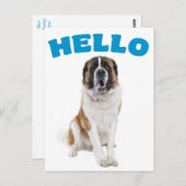 ハローサンベルナルドプピードブルーポストカード ポストカード (正面/裏面)