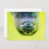 ハローザシール ポストカード (正面/裏面)