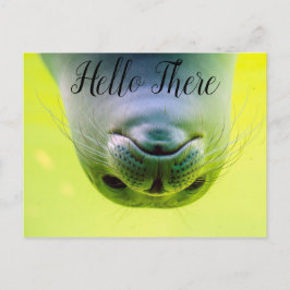 ハローザシール ポストカード