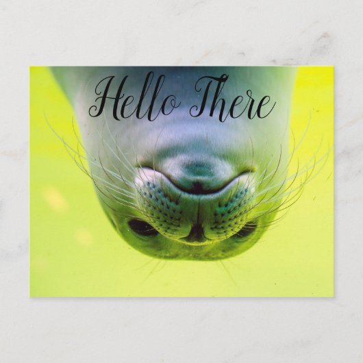 ハローザシール ポストカード (正面)