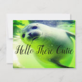 ハローザースかわいこちゃん (正面)