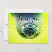 ハローザースかわいこちゃん (裏面)