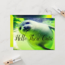 ハローザースかわいこちゃん