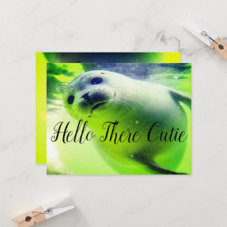 ハローザースかわいこちゃん