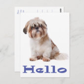 ハローシーズー(犬)Tzu子犬考え – あなたの、友人 ポストカード (正面/裏面)