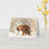 ハロータイガー カード (黄色い花)