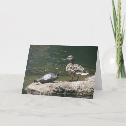 ハローダックカード カード (正面)