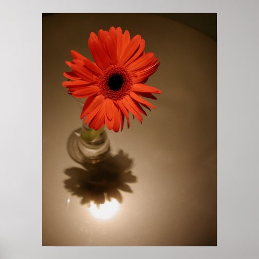 ハローデイジー ポスター (正面)